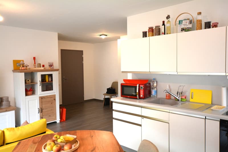Building with 13 adapted apartments (5)