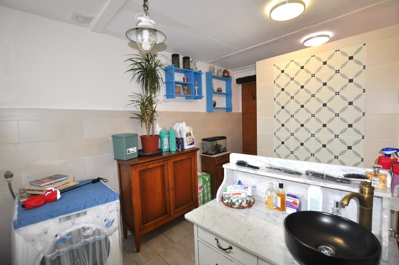 The image shows a laundry room with a washing machine, shelves, and various household items. The room has a tiled floor and patterned wall tiles. There is a plant, cleaning supplies, and other items on the shelves and countertop.