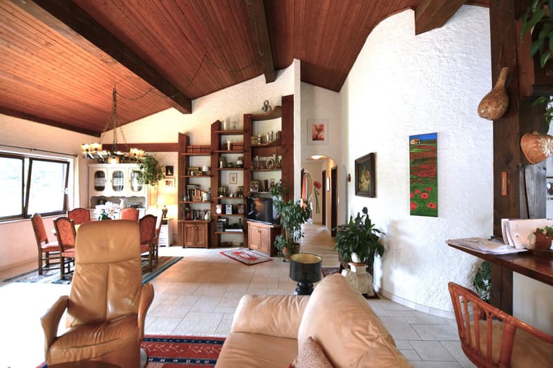 living room, wooden ceiling, white tiles, large sofa, wooden armchair, coffee table, shelf, TV, dining table, chairs, carpet