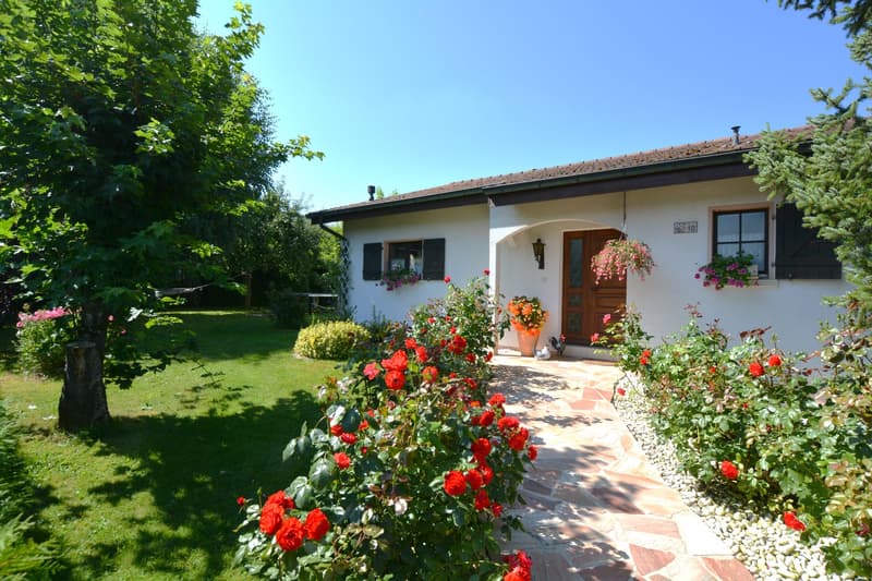 single story house, white exterior, brown door, red roses in front, brown roof, green lawn, flower pots at the window