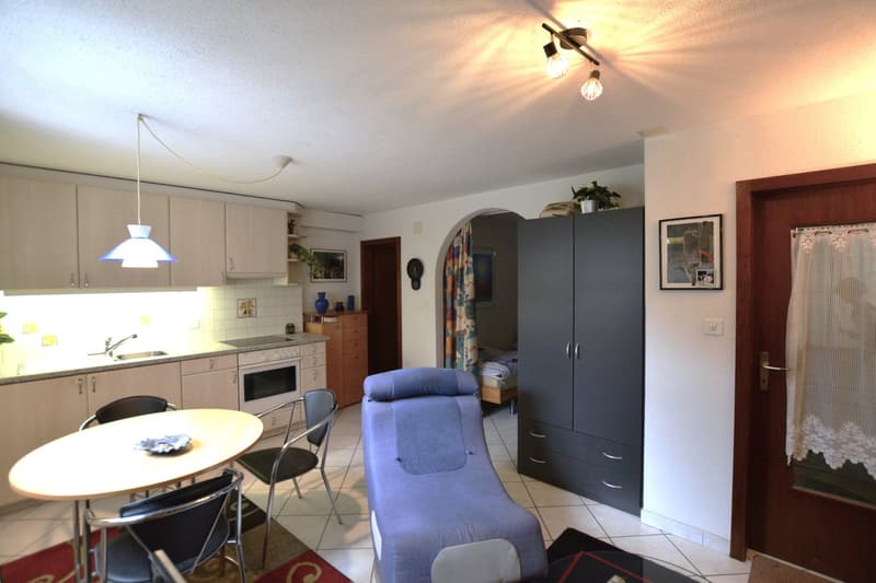 round table with 4 chairs, blue lounge chair, kitchen with stove, sink, cabinets, blue lounge chair in bedroom, plant, picture, wardrobe, bed, door