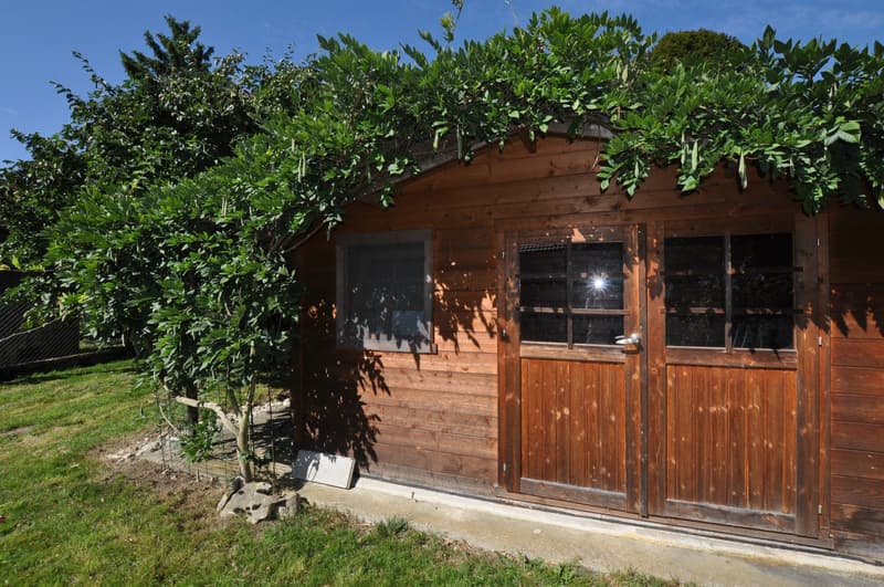 wooden shed with two doors and a window, climbing plants on the roof