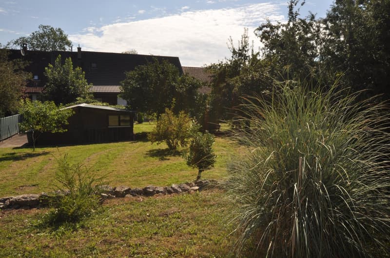 lawn, small house, trees, stone path, shrubs