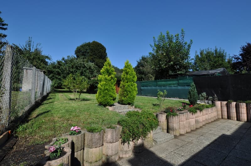 fenced garden, brick garden wall, two large green conifers, planted flowers, paved path, view to woods and sky