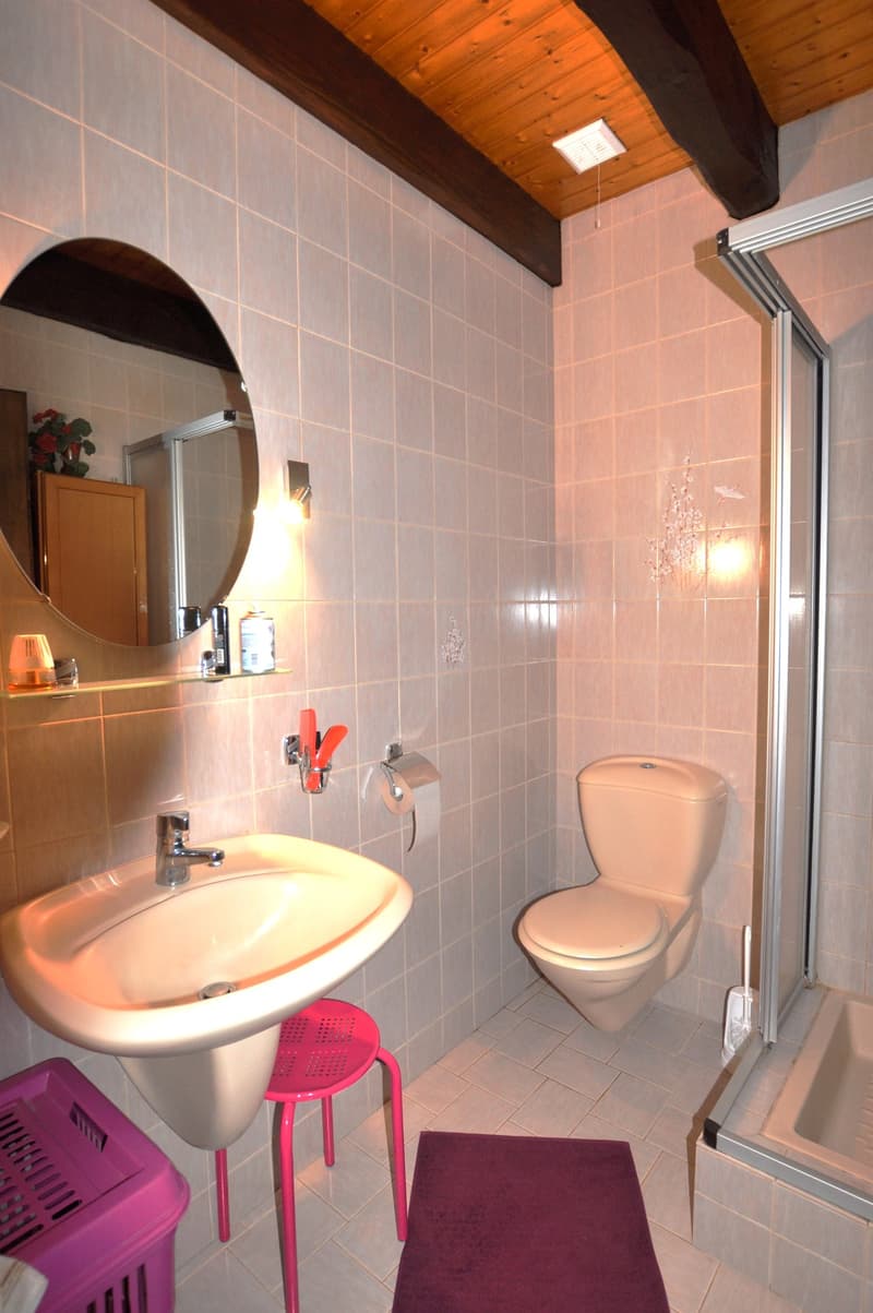 Bathroom with a sink, mirror, toilet, shower enclosure, and rug