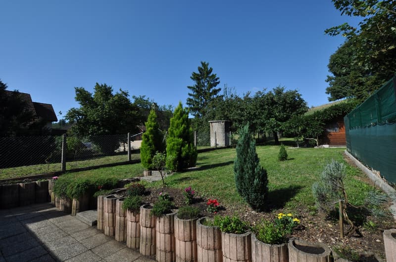 well-manicured garden with different types of plants and trees, surrounded by a wooden fence, large lawn
