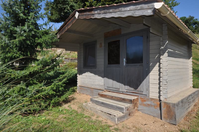 small log cabin house with one door and two windows, wooden steps