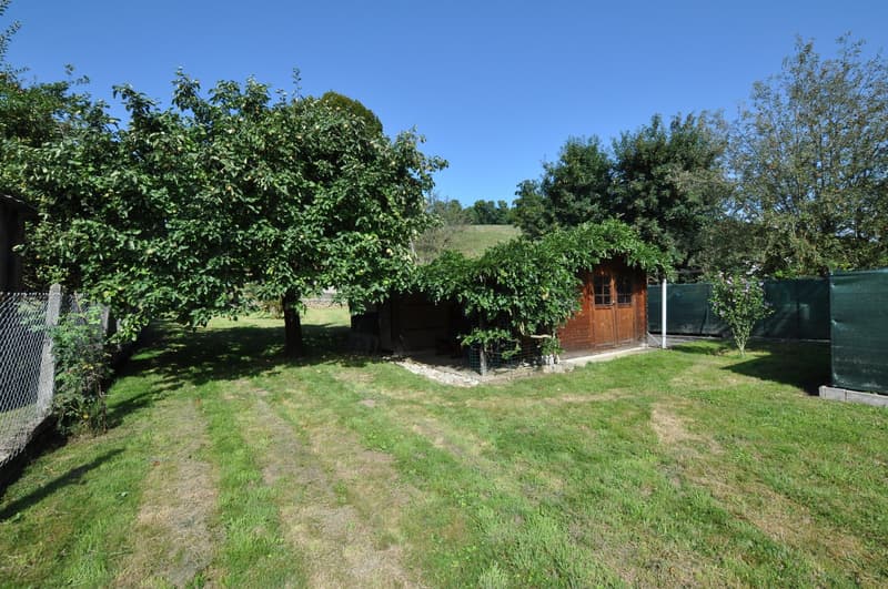 A garden with a wooden shed surrounded by trees and greenery.