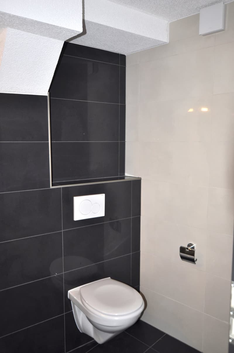 Modern bathroom, black and white tiles, wall-mounted toilet, wall-mounted toilet paper holder, tiled floor