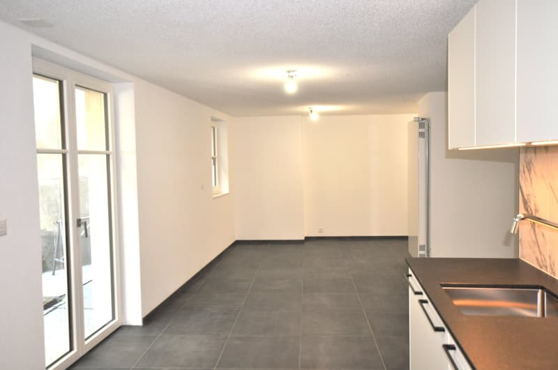 Empty kitchen with stainless steel sink, countertop, kitchen cabinets, glass door, windows