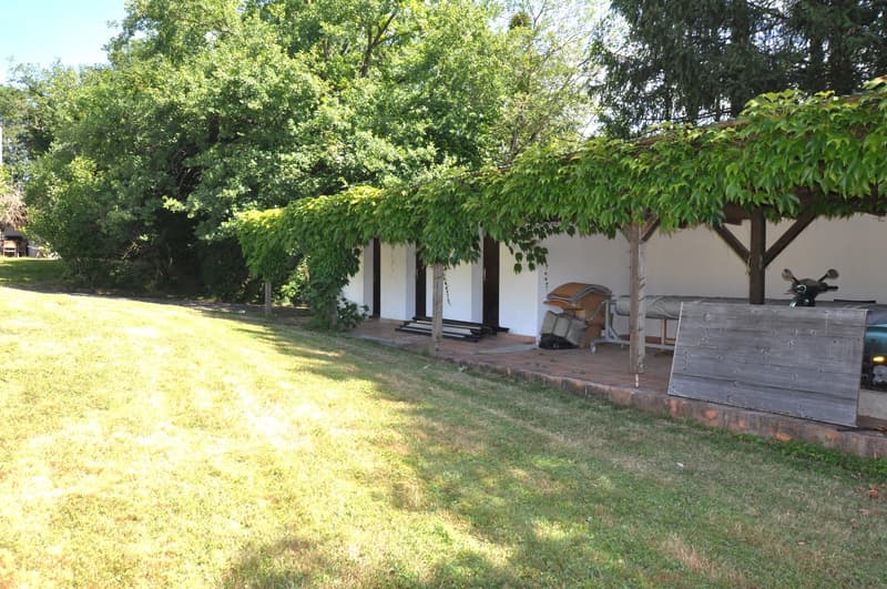 Outdoor covered terrace, brick flooring, green creeper, grass lawn, scooter
