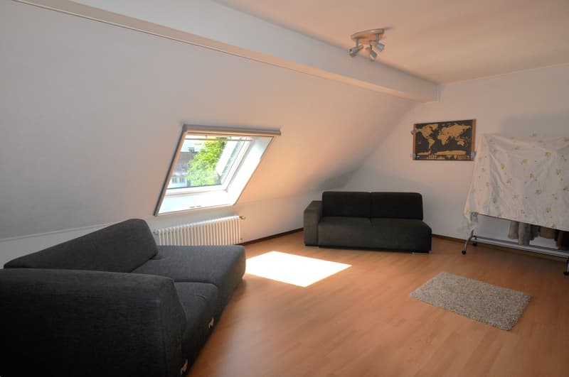 An attic room with two couches, a rug, a window, a radiator, ceiling fixtures, and a world map on the wall.