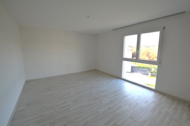 empty room with white walls, wooden floor, glass windows with outdoor view