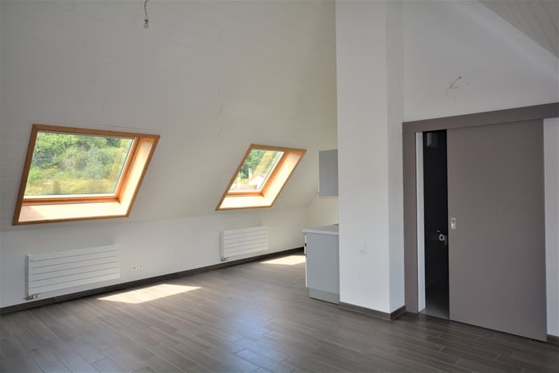 two windows, wooden floor, radiators, door