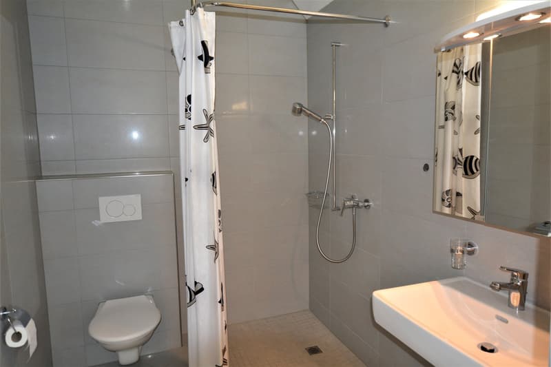 Bathroom with shower, toilet, sink, mirror, and towel rack
