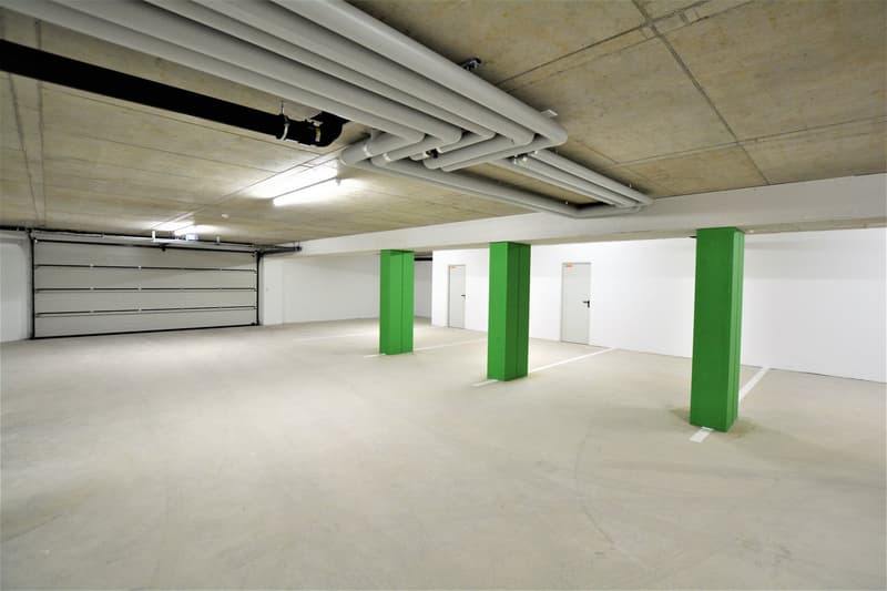 Empty parking garage with white walls, gray ceiling, white parking spaces, and three green posts.