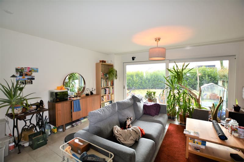 Gray couch, coffee table, mirror, bookshelves, plants, cat