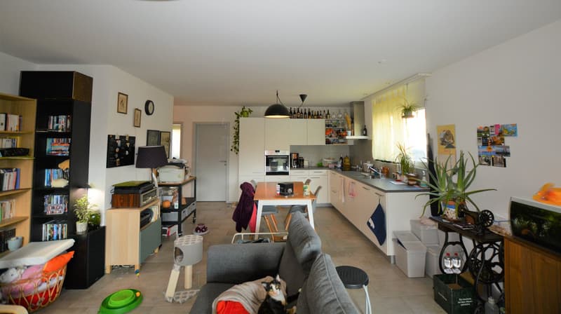 Open space living room, kitchen, dining area, grey couch, large table, large open shelves, TV, kitchen equipment, pantry