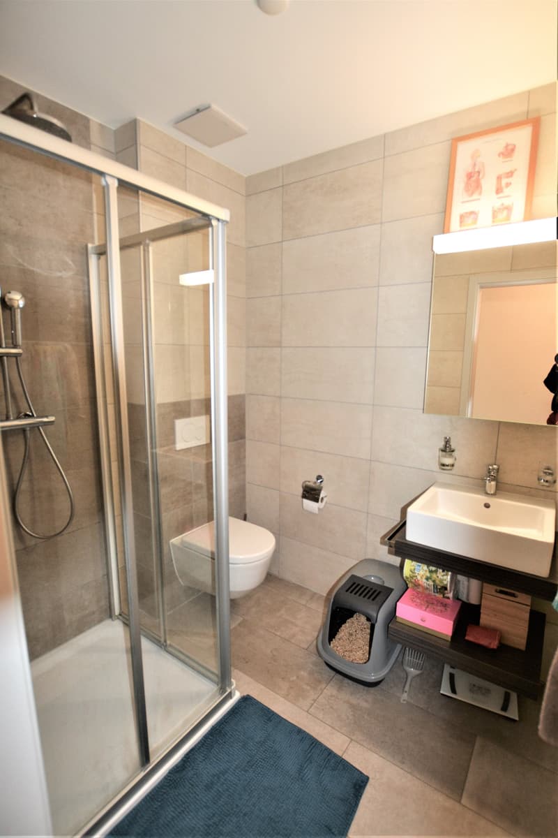 a modern bathroom with a shower, toilet, sink, and a cat litter box