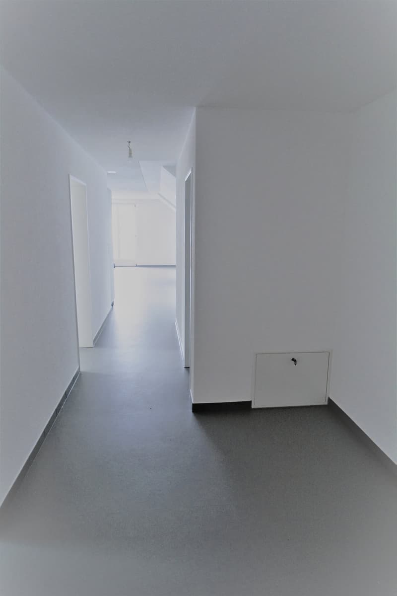 Empty white walled corridor with gray flooring, ceiling lights and door at end