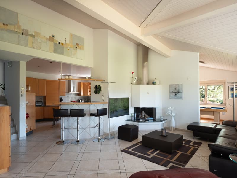 Magnificent architect's villa in Porrentruy (5)