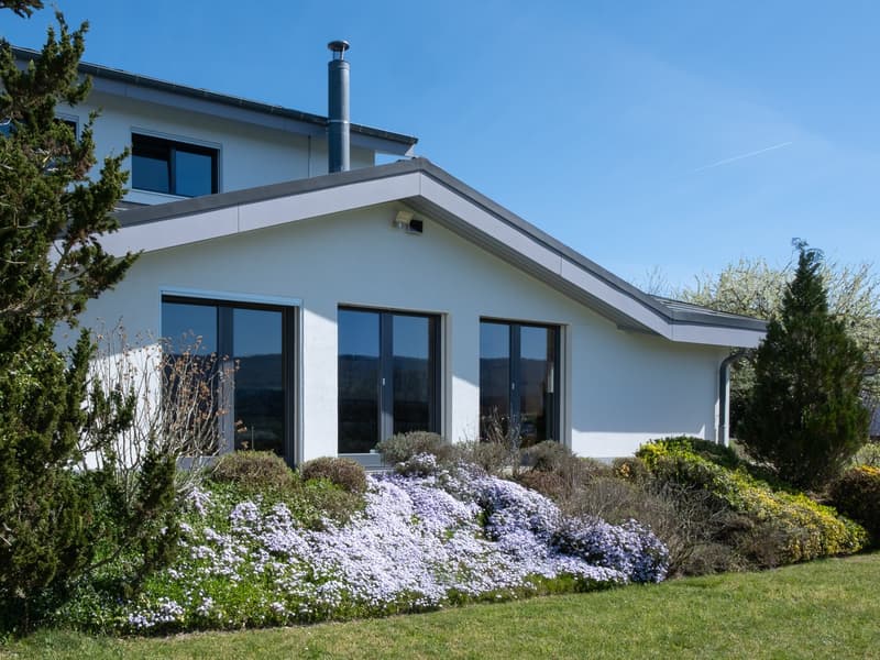 Modern white house with large windows, a chimney, and a security camera. Surrounded by a well-maintained garden with various plants and flowers.