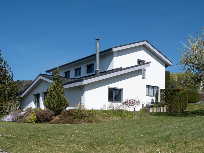 Modern white house with a gray roof, chimney, and large windows, set on a grassy hill with shrubs and trees.