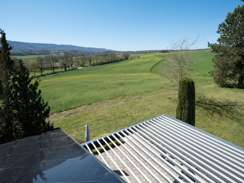 Magnificent architect's villa in Porrentruy (13)