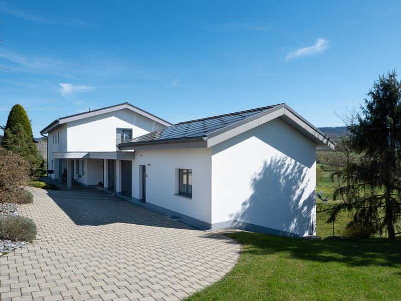 Modern white house with a gray roof, driveway, and a garden with trees and grass.