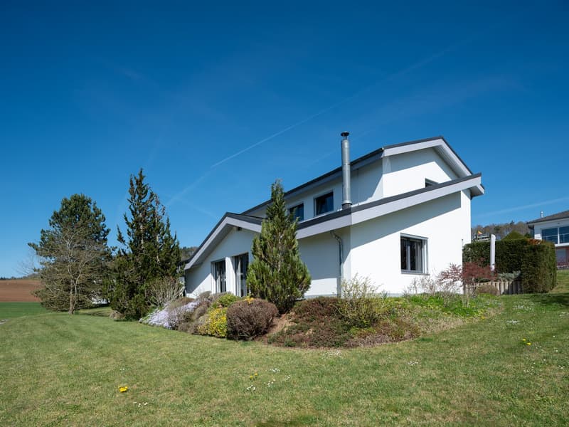 Magnificent architect's villa in Porrentruy (1)