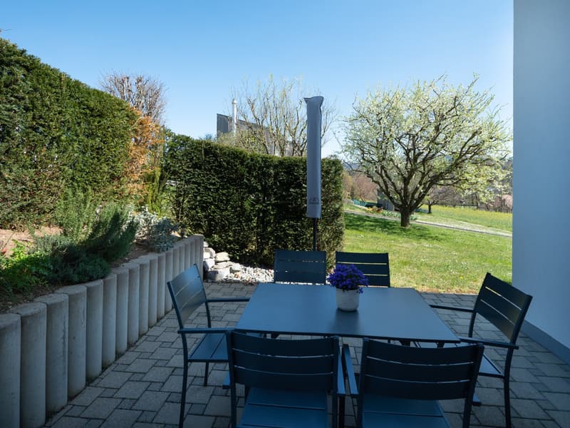 Magnificent architect's villa in Porrentruy (7)
