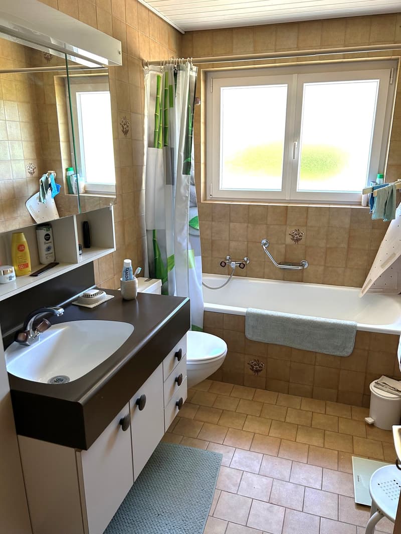 Beautiful property located in the heights of Fontenais (14)