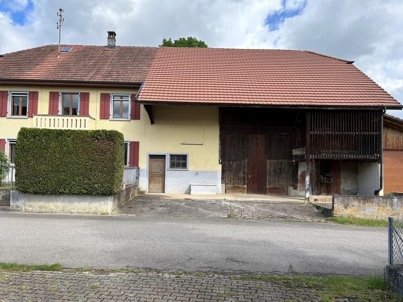 Jolie propriété villageoise située à Montignez (13)