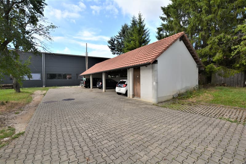 Bellissimo appartamento di 4,5 locali a Fregiécourt (14)