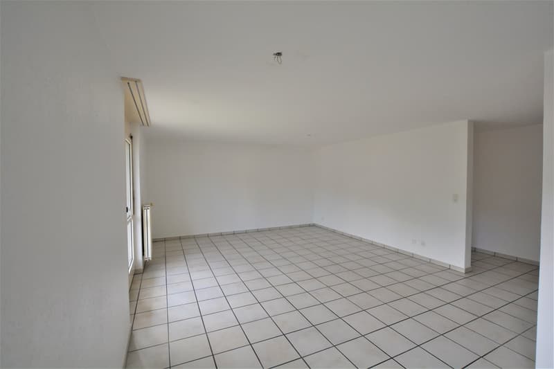 Bellissimo appartamento di 4,5 locali a Fregiécourt (4)