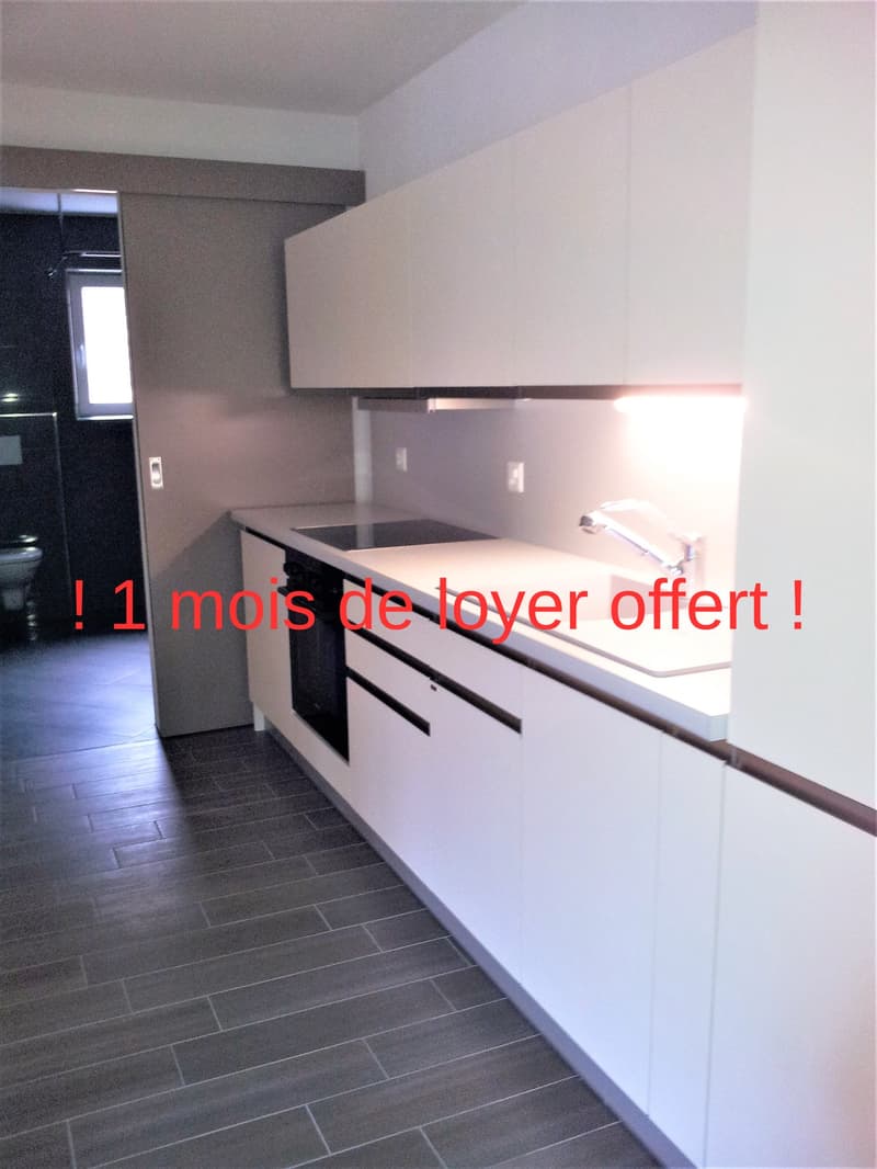 Bello appartamento di 2,5 locali a Fontenais (1)