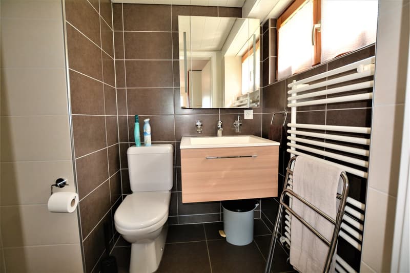 Bello appartamento ammobiliato di 2,5 locali a Boncourt (5)