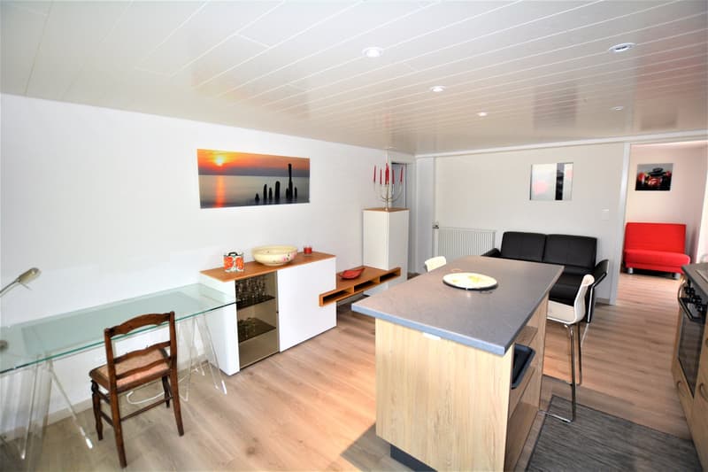 Bello appartamento ammobiliato di 2,5 locali a Boncourt (2)