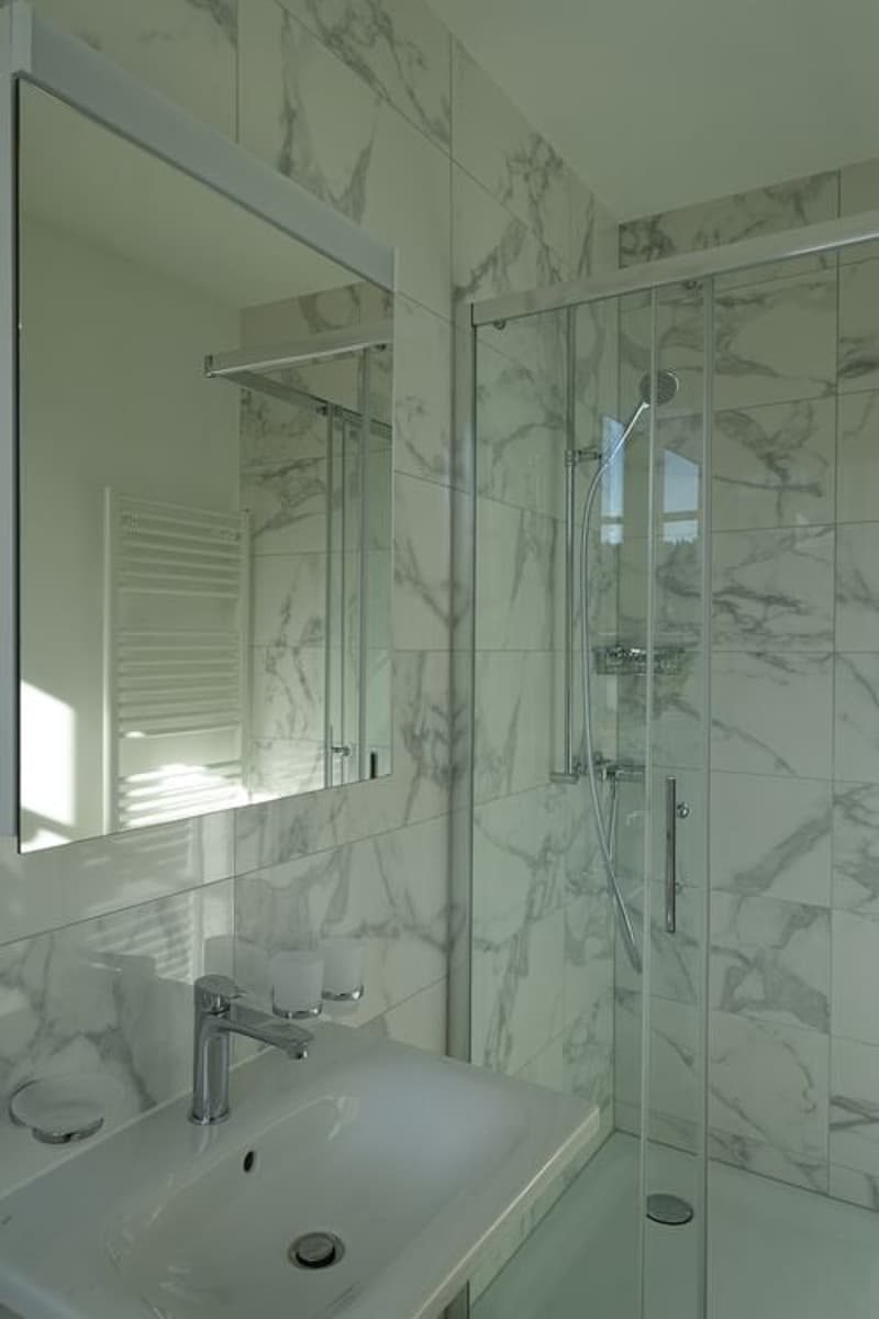Tramelan - Appartement de 3,5 pièces entièrement rénové (1er mois offert) (6)