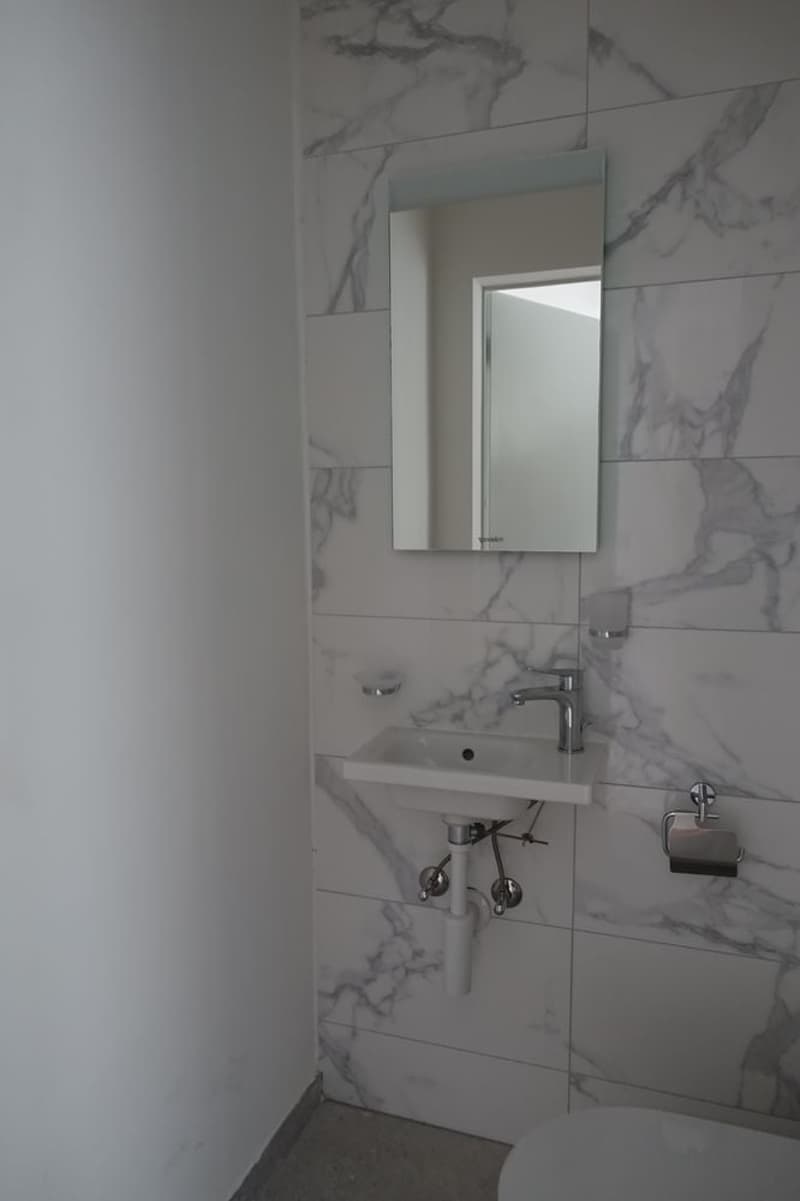Tramelan - 3.5-room apartment completely renovated (1st month free) (4)