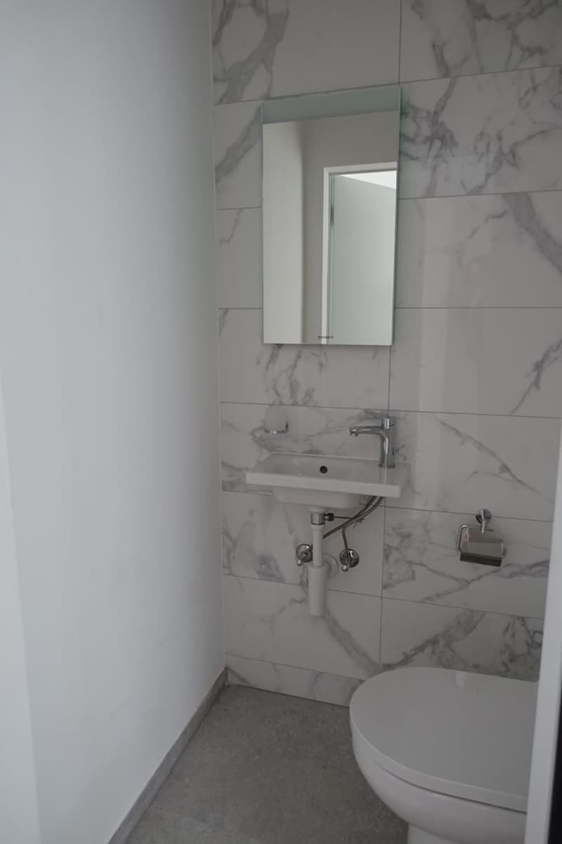 Tramelan - 3.5-room apartment completely renovated (1st month free) (3)