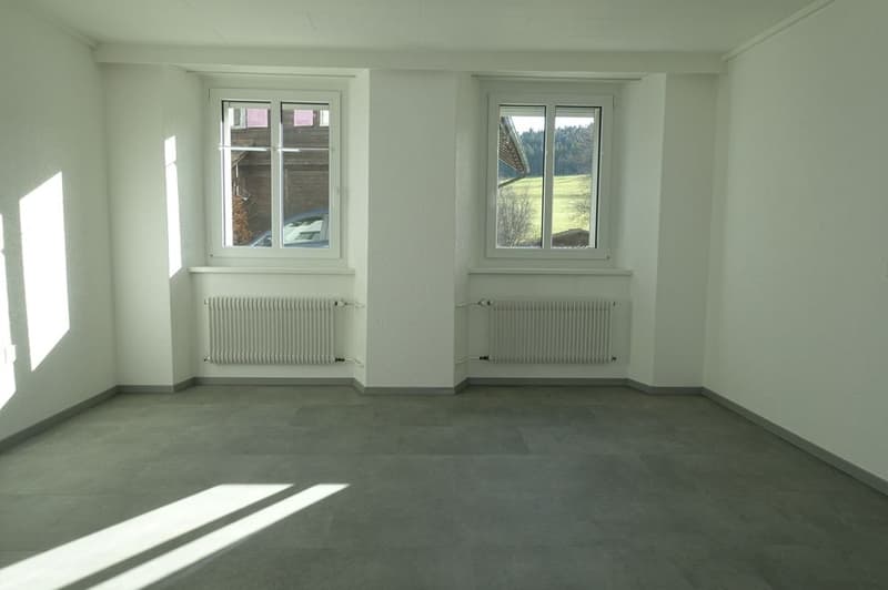Empty room with white walls, gray floor, two windows, white radiators.
