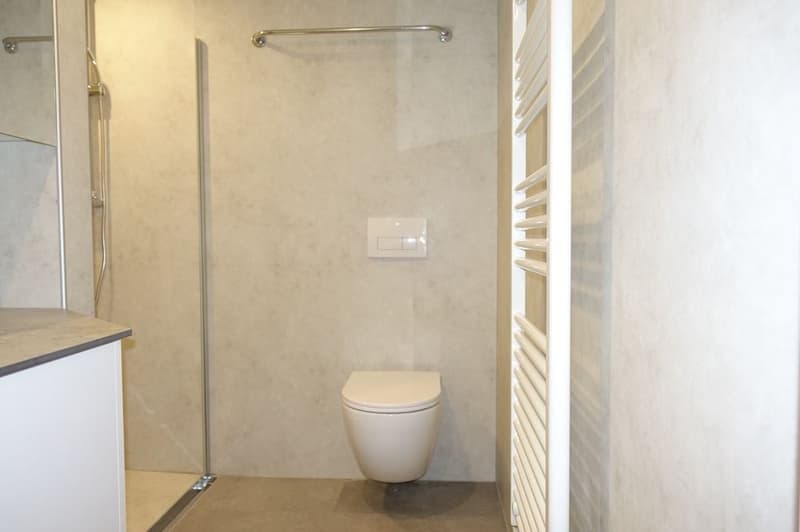 white walls, grey floor, modern shower enclosure, white toilet, towel rack