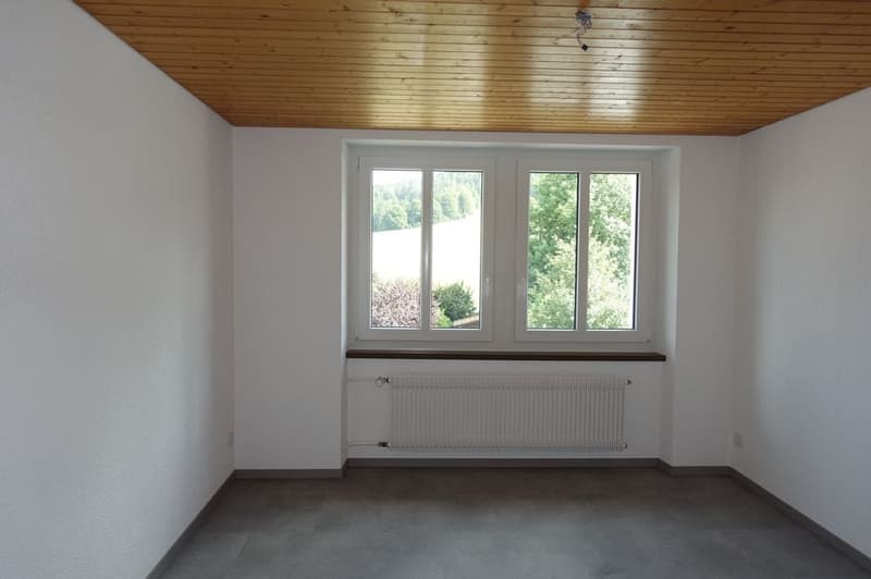empty room, white walls, wooden ceiling, window with view