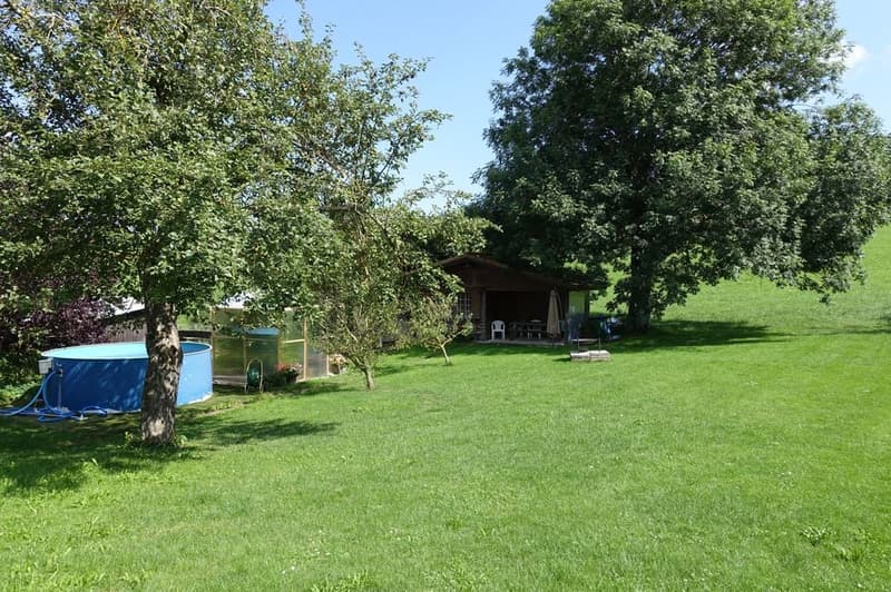 large grassy area, large swimming pool, small shed, greenery, wide open space