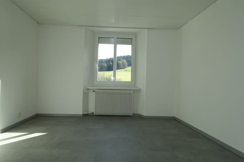 empty room, radiator, window with country view