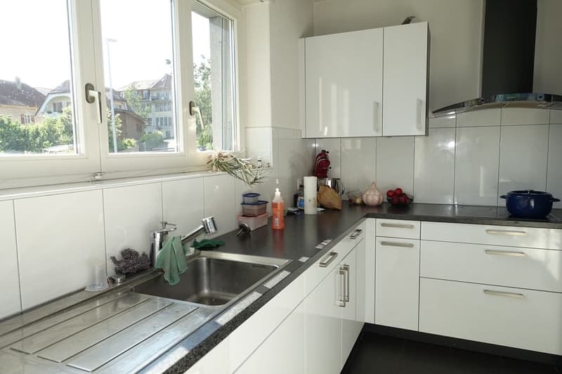 modern white kitchen with appliances, sink and kitchen cabinets, stove and cabinets with shelves