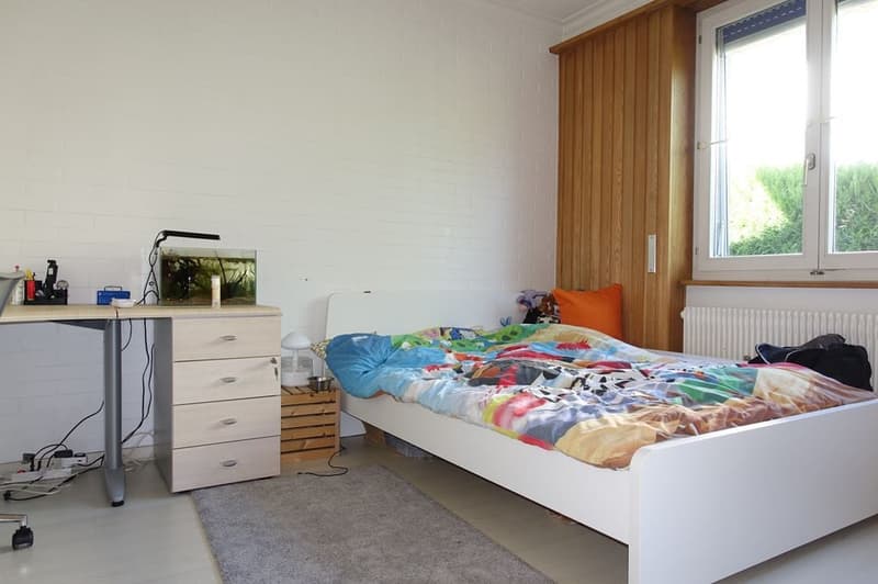 single bed, desk, drawers, carpet, lamp, fish tank, radiator, window, pillows