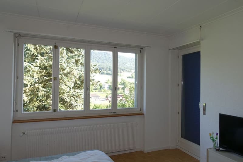 large window, wooden floor, white walls, window sill, radiator, television, flowers