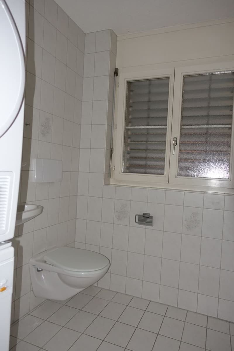 Compact bathroom with a toilet, sink, and washing machine